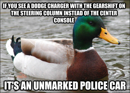 If you see a dodge charger with the gearshift on the steering column instead of the center console it's an unmarked police car  Actual Advice Mallard