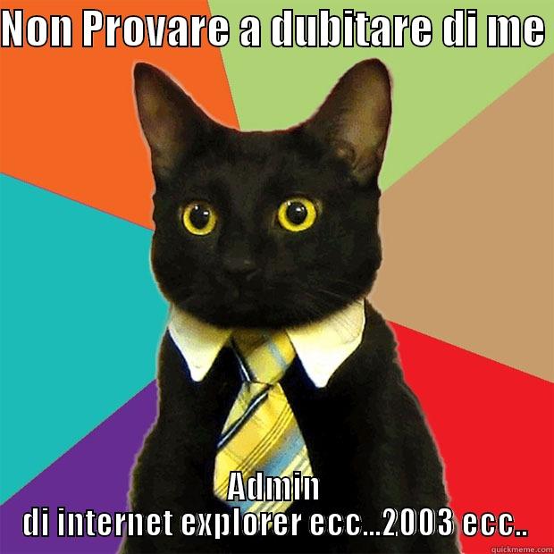 NON PROVARE A DUBITARE DI ME  ADMIN DI INTERNET EXPLORER ECC...2003 ECC.. Business Cat