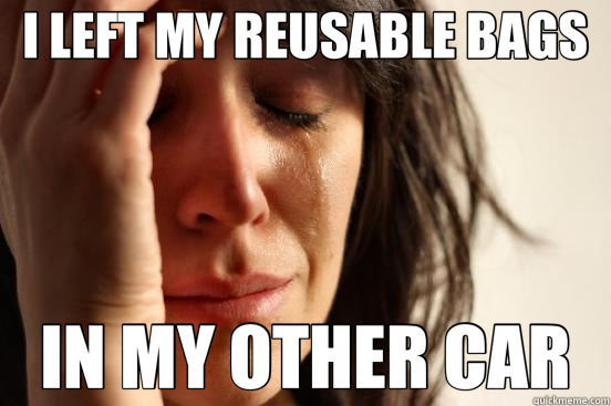 I LEFT MY REUSABLE BAGS IN MY OTHER CAR  First World Problems