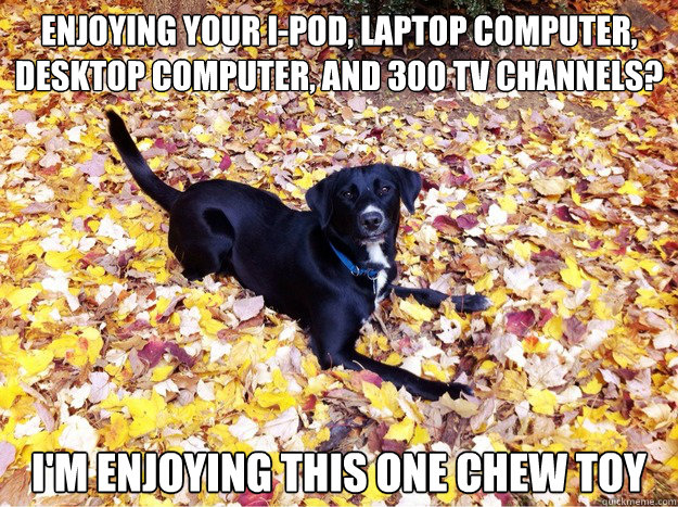 Enjoying your I-pod, laptop computer, desktop computer, and 300 TV channels? I'm enjoying this one chew toy - Enjoying your I-pod, laptop computer, desktop computer, and 300 TV channels? I'm enjoying this one chew toy  Guilt Giving Good Dog