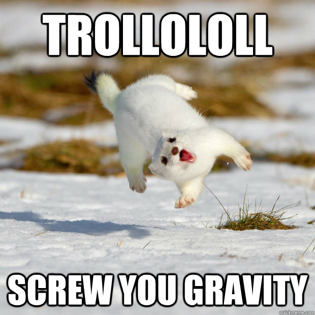 trollololl screw you gravity  happy ferret