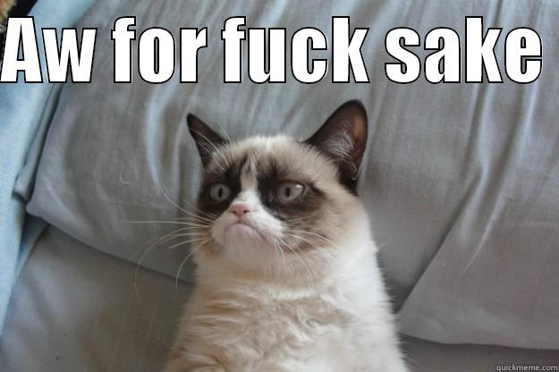 AW FOR FUCK SAKE    Grumpy Cat