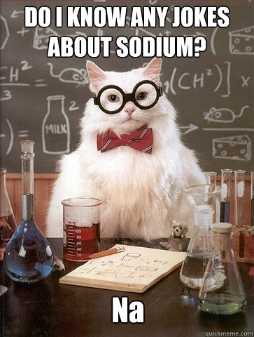DO I KNOW ANY JOKES ABOUT SODIUM? Na  Chemistry Cat
