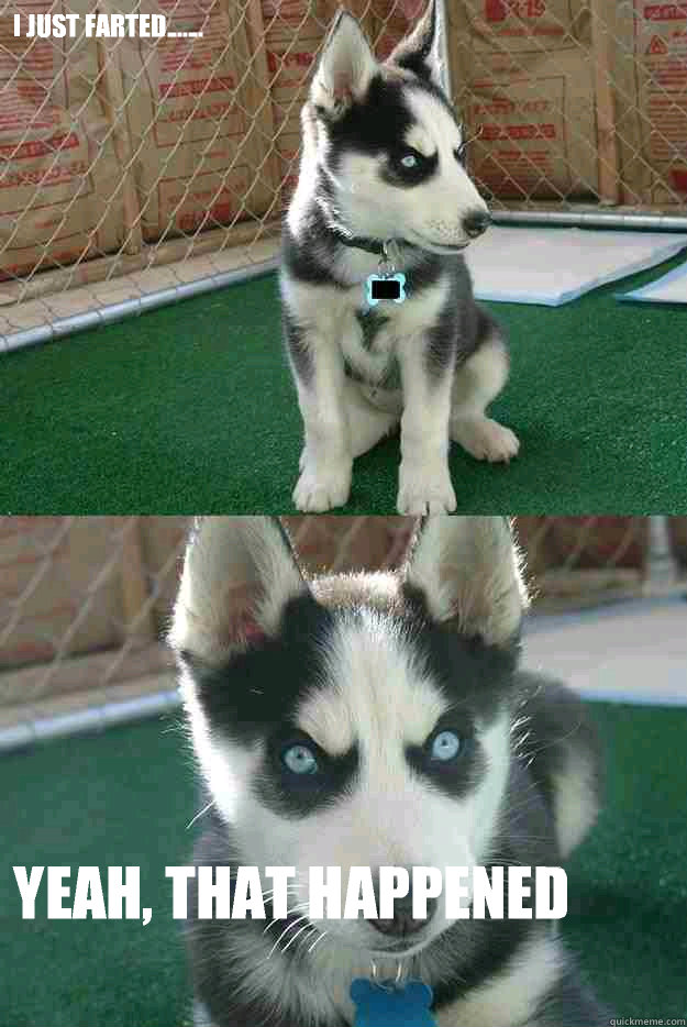 I just farted....... Yeah, that happened  Insanity puppy