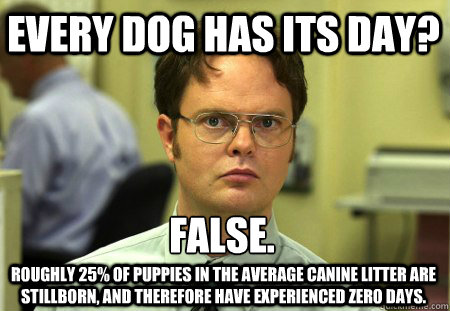 Every dog has its day? False. Roughly 25% of puppies in the average canine litter are stillborn, and therefore have experienced zero days.  Schrute