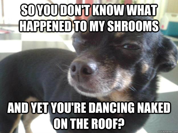 So you don't know what happened to my shrooms and yet you're dancing naked on the roof?  
