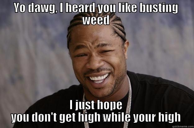 YO DAWG, I HEARD YOU LIKE BUSTING WEED I JUST HOPE YOU DON'T GET HIGH WHILE YOUR HIGH Xzibit meme