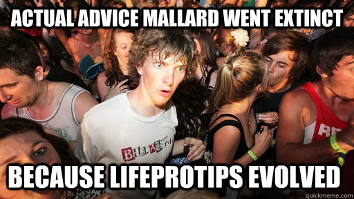 actual advice mallard went extinct because lifeprotips evolved  Sudden Clarity Clarence