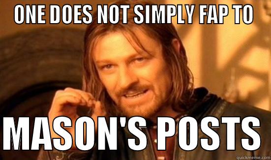 ONE DOES NOT SIMPLY FAP TO  MASON'S POSTS Boromir
