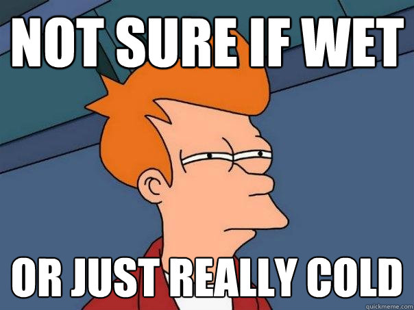 Not sure if wet OR just really cold  Futurama Fry