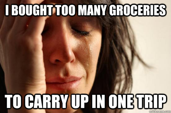I bought too many groceries to carry up in one trip - I bought too many groceries to carry up in one trip  First World Problems