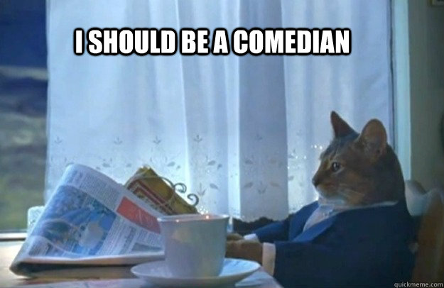 I SHOULD BE A COMEDIAN - I SHOULD BE A COMEDIAN  Sophisticated Cat