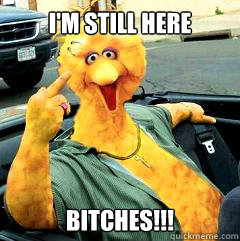 I'm Still here bitches!!! - I'm Still here bitches!!!  Big Bird is Alive