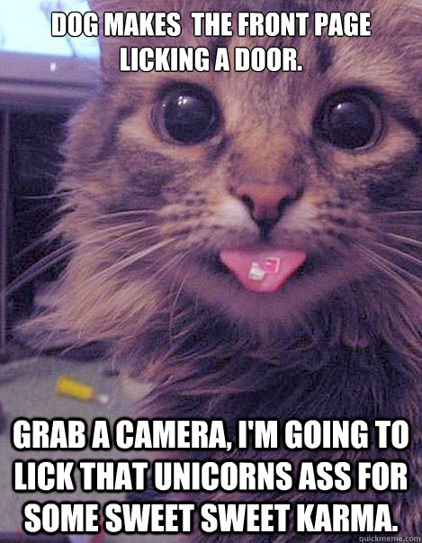 Dog makes  the front page licking a door. Grab a camera, I'm going to lick that unicorns ass for some sweet sweet karma.  