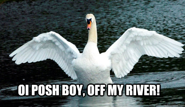OI Posh boy, off my river!  