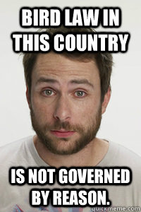 bird law in this country is not governed by reason. - bird law in this country is not governed by reason.  Charlie
