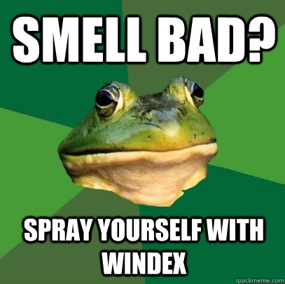Smell bad? Spray yourself with Windex  Foul Bachelor Frog