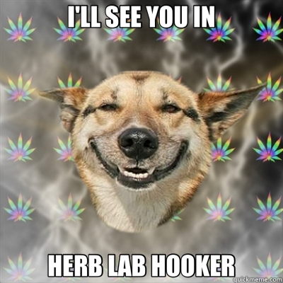 I'LL SEE YOU IN HERB LAB HOOKER  Stoner Dog