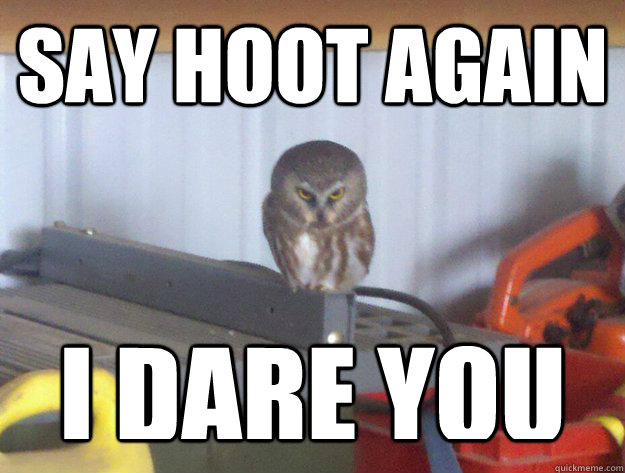Say hoot again I dare you  Evil Owl