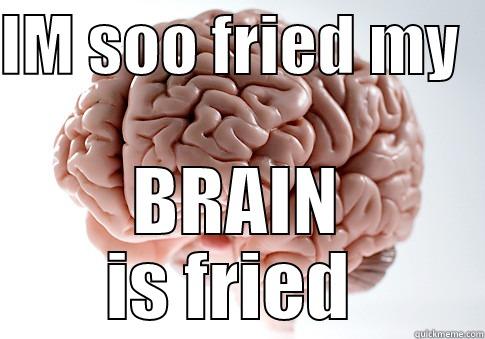 im soo fried my brain is fried  - IM SOO FRIED MY   BRAIN IS FRIED  Scumbag Brain