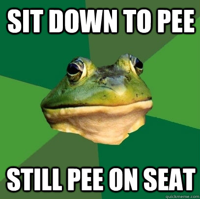 Sit Down to Pee Still Pee on Seat  Foul Bachelor Frog
