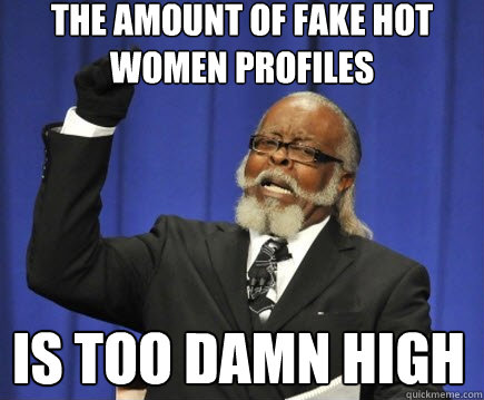 the amount of fake hot women profiles is too damn high  Too Damn High