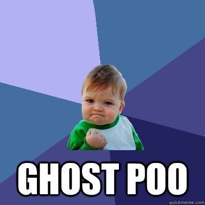  Ghost poo  Success Kid