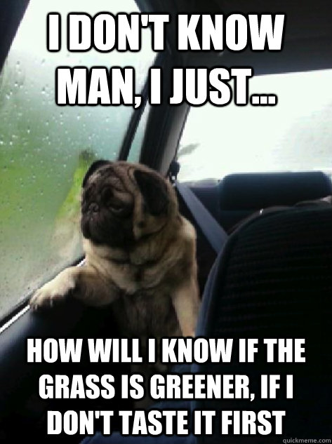 I don't know man, I just... How will I know if the grass is greener, if I don't taste it first  Introspective Pug