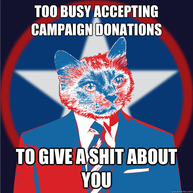 TOO BUSY ACCEPTING CAMPAIGN DONATIONS TO GIVE A SHIT ABOUT YOU - TOO BUSY ACCEPTING CAMPAIGN DONATIONS TO GIVE A SHIT ABOUT YOU  POLITICAT