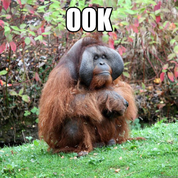 Ook   - Ook    Zen Master Orangutan