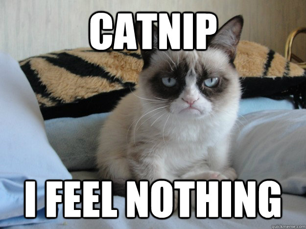 Catnip I feel Nothing - Catnip I feel Nothing  Grumpy Cat II