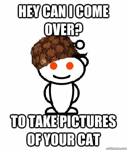 hey can i come over? to take pictures of your cat  Scumbag Redditor
