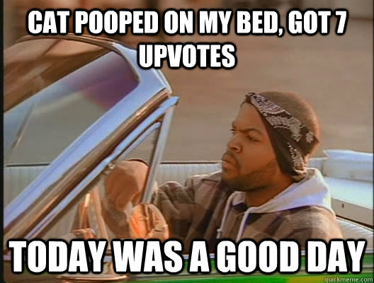 Cat pooped on my bed, got 7 upvotes Today was a good day - Cat pooped on my bed, got 7 upvotes Today was a good day  today was a good day