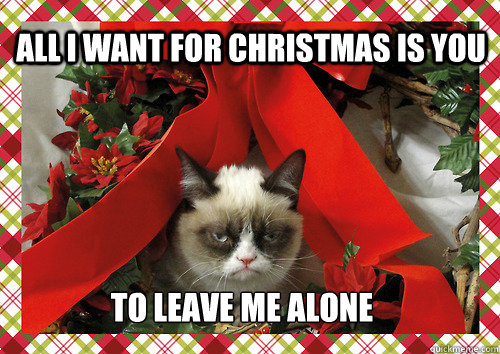 All I want for Christmas is you to leave me alone  merry christmas