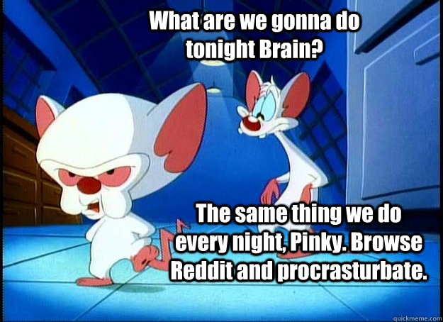 What are we gonna do tonight Brain? The same thing we do every night, Pinky. Browse Reddit and procrasturbate.  Pinky and the Brain