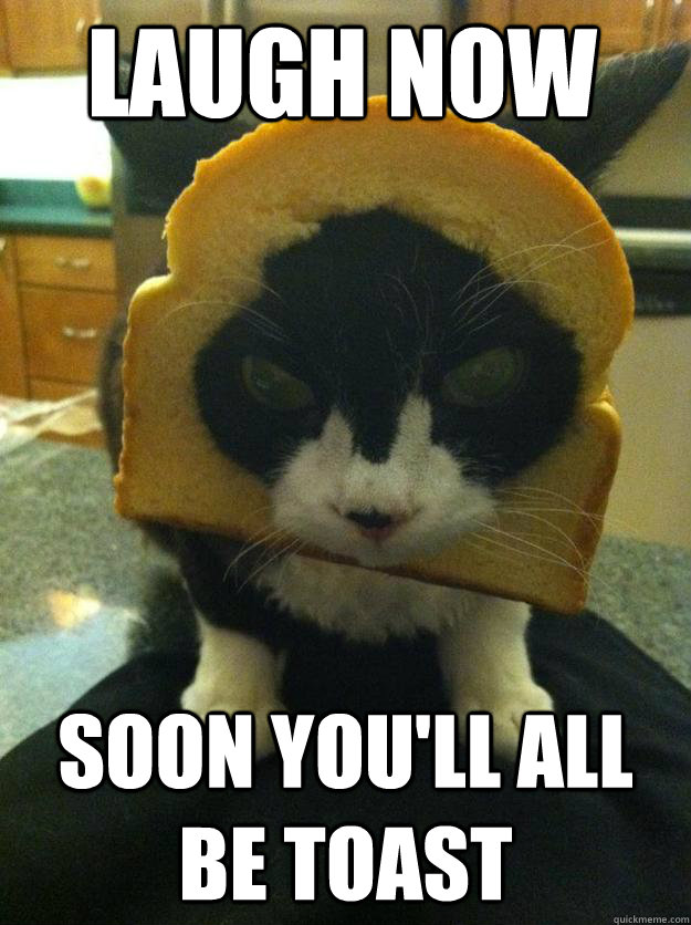 Laugh now Soon you'll all be toast - Laugh now Soon you'll all be toast  Angry Breaded Cat