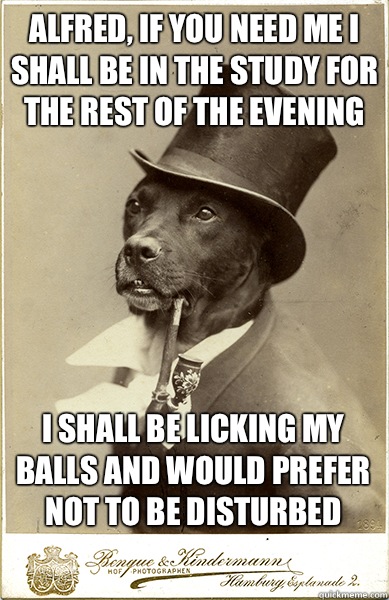 alfred, if you need me i shall be in the study for the rest of the evening I shall be licking my balls and would prefer not to be disturbed  Old Money Dog
