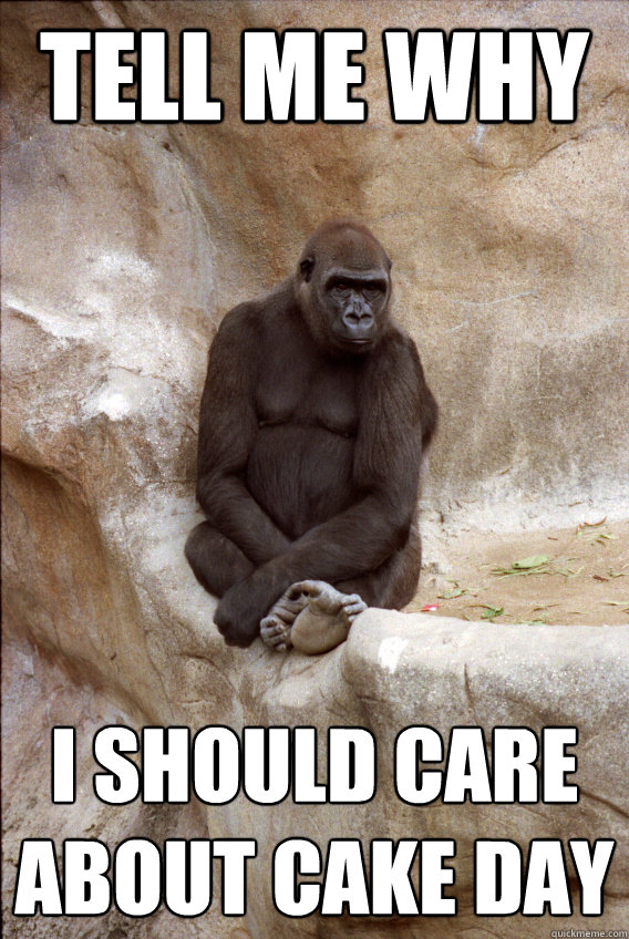 Tell Me WHy
 I should care about cake day
 - Tell Me WHy
 I should care about cake day
  Disinterested Gorilla