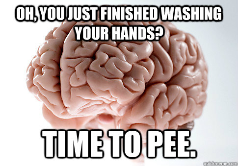 Oh, you just finished washing your hands? Time to pee.  Scumbag Brain