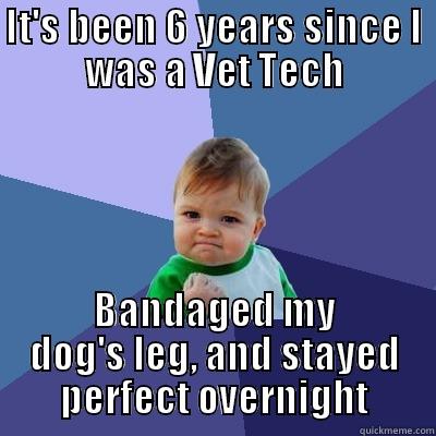 IT'S BEEN 6 YEARS SINCE I WAS A VET TECH BANDAGED MY DOG'S LEG, AND STAYED PERFECT OVERNIGHT Success Kid