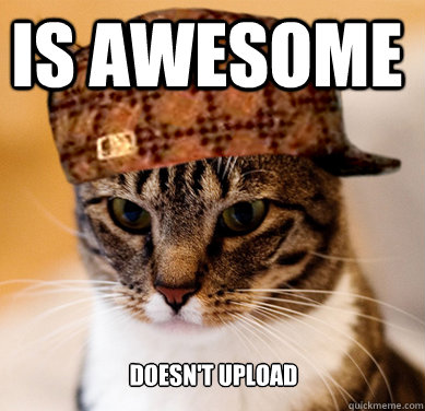 Is awesome doesn't upload  Scumbag Cat