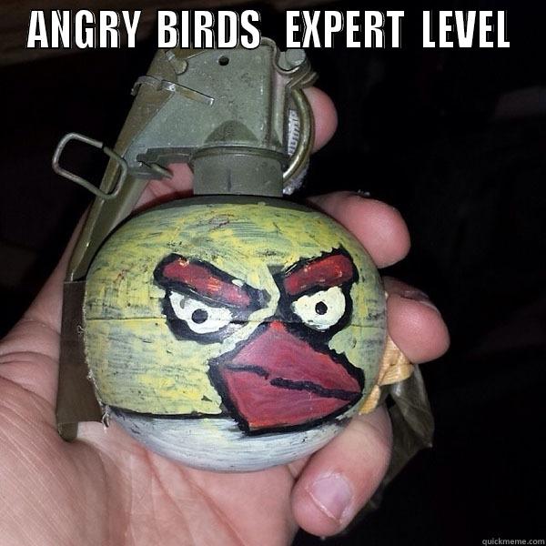 ANGRY  BIRDS   EXPERT  LEVEL  Misc
