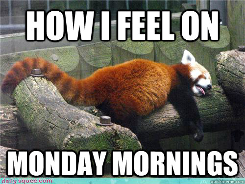 How I feel on Monday Mornings - How I feel on Monday Mornings  Monday Mornings
