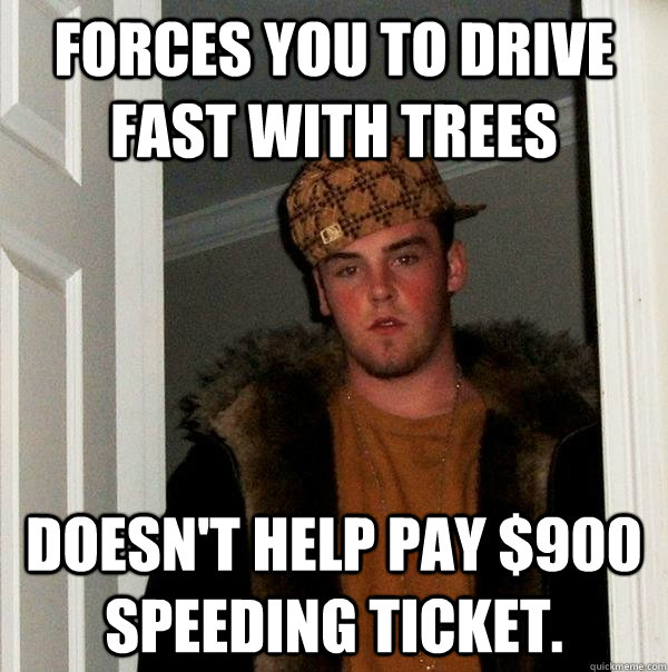 forces you to drive fast with trees doesn't help pay $900 speeding ticket. - forces you to drive fast with trees doesn't help pay $900 speeding ticket.  Scumbag Steve