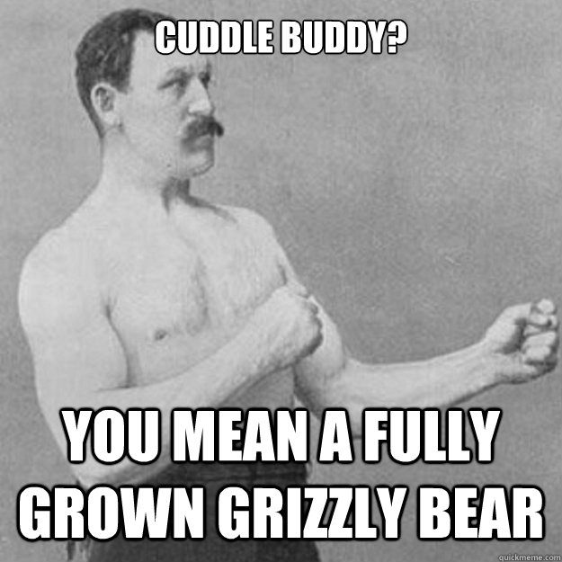 Cuddle buddy? You mean a fully grown grizzly bear - Cuddle buddy? You mean a fully grown grizzly bear  Misc