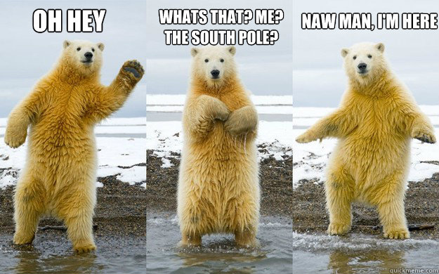 Oh hey Whats that? Me? The south pole? Naw man, I'm here - Oh hey Whats that? Me? The south pole? Naw man, I'm here  Dancing Polar Bear
