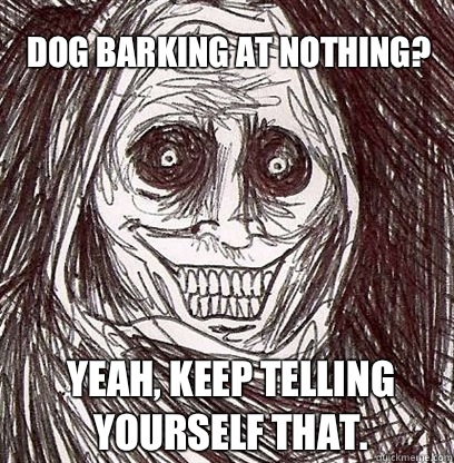 Dog barking at nothing? Yeah, keep telling yourself that.  Shadowlurker
