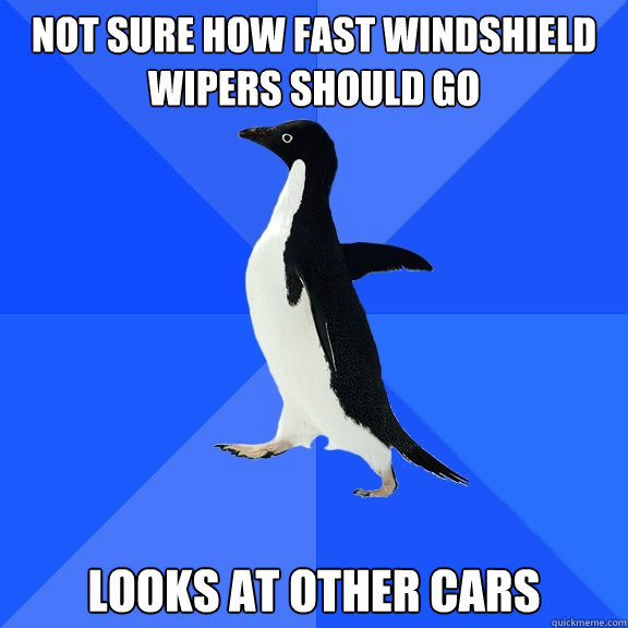 Not sure how fast windshield wipers should go Looks at other cars  Socially Awkward Penguin
