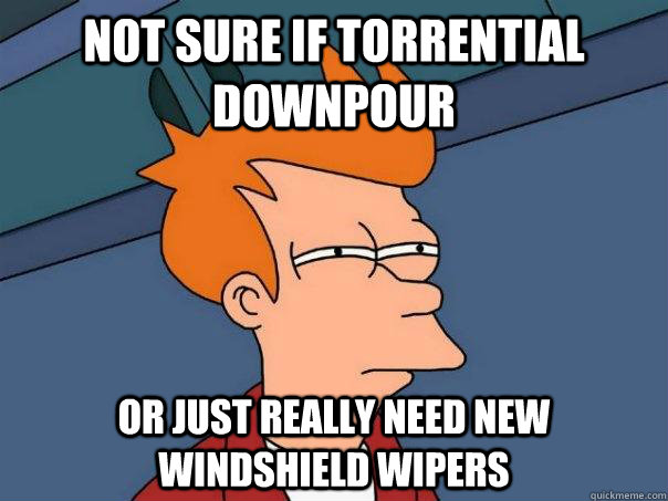Not sure if torrential downpour Or just really need new windshield wipers  Futurama Fry