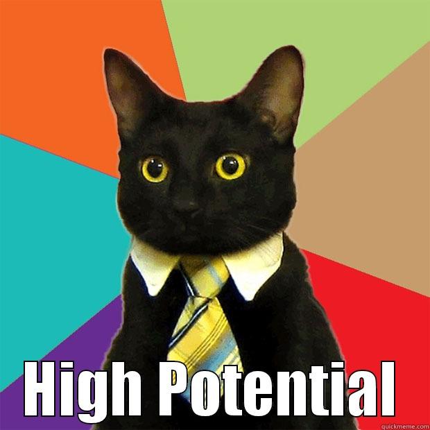  HIGH POTENTIAL Business Cat
